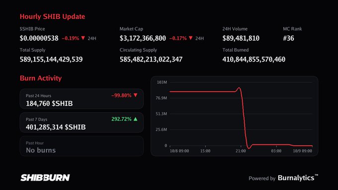 A SHIB (Shiba Inu coin) dashboard showing an hourly update with price at $0.00000538, market cap of $3.17B, and burn activity dropping 191% past 24 hours, powered by Burnalytics on SHIBBURN.