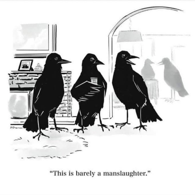 A black-and-white cartoon depicts three crows standing in a living room, with the caption 'This is barely a manslaughter.'