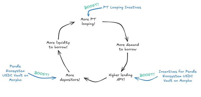 A handwritten flowchart diagram illustrating a flywheel effect for the Pendle Ecosystem USDC Vault on Morpho, with boosts labeled 'PT Looping Incentives', 'Pendle Ecosystem USDC Vault on Morpho', and 'Incentives for Pendle Ecosystem USDC Vault on Morpho' creating a cycle of more depositors, higher lending APY, more borrowing demand, and more PT looping.