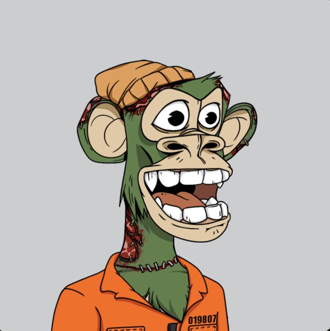 A cartoon illustration of a green monkey wearing an orange beanie and an orange shirt with the number "019807" on the pocket, set against a grey background.