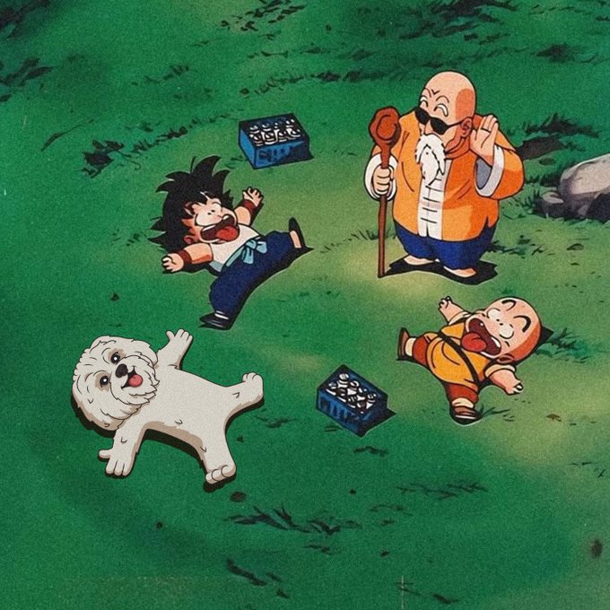 A scene from Dragon Ball showing Master Roshi, young Goku, Krillin, and a fluffy dog sprawled out happily on the grass, with two small treasure boxes nearby that contain no money—just their friendship. The caption "It's never about the money you earned, it's about the Brodies you made along the way" pairs perfectly with the image, as the treasure chests sit unopened while the true riches—camaraderie and shared joy—lie in the smiling friends and loyal dog around them.
