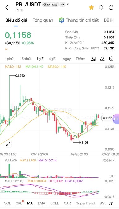 A cryptocurrency price chart for the PRL/USDT pair on Perle, showing a current price of 0.1156 with a +0.26% increase and a 24-hour trading volume of 563.91K.