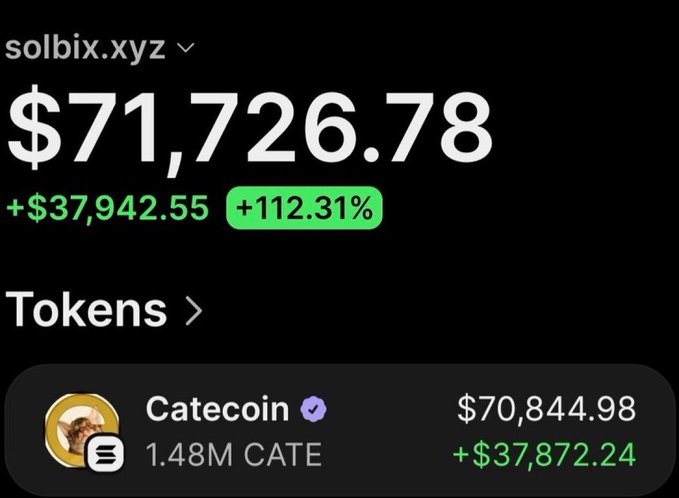 A crypto portfolio screenshot from solbix.xyz showing a balance of $71,726.78 with a +112.31% gain (+$37,942.55), driven primarily by 1.48M Catecoin (CATE) valued at $70,844.98, illustrating the post's claim of a member turning $18,600 into significant profits on $CATE.