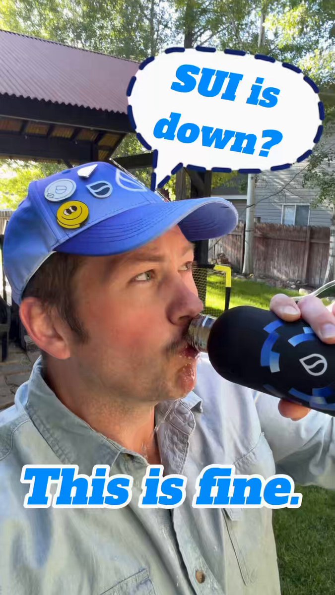 The image features a man wearing a blue hat, drinking from a water bottle while standing outside. The caption of the image reads "POV: $SUI is down again but it' s fine... I'M NOT WORRIED. It'S fine." This message seems to be humorous and lighthearted in nature, as if the man is making a joke about the current situation or expressing his nonchalance towards the circumstances.