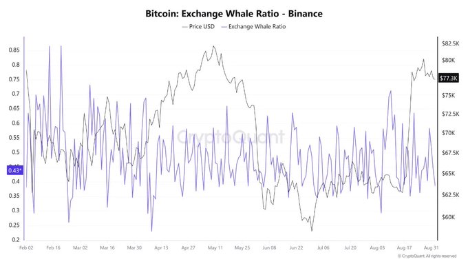 A CryptoQuant chart titled "Bitcoin: Exchange Whale Ratio - Binance" tracks Bitcoin's price (USD) alongside the Exchange Whale Ratio from February to August, showing the ratio currently at 0.43 while BTC trades at $77.3K—visually supporting the post's claim that whale selling pressure has declined from its earlier peak near 0.71, suggesting reduced sell-side activity despite Bitcoin holding elevated price levels.