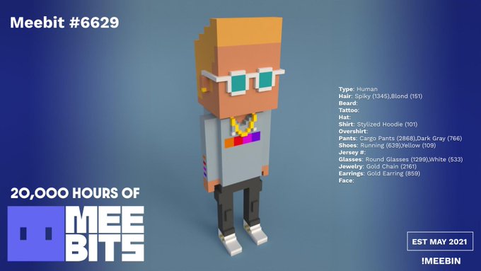 A 'Meebit #6629' NFT profile showing a pixelated character with '20,000 HOURS OF MEEBITS' text and trait details like Type: Human, Hair: Spiky, Beard, Hat, and Shirt: Stylized Hoodie.