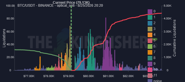 A trading chart for BTC/USDT showing liquidations and cumulative liquidations with the current price at 79.13K, overlaid with the text 'THE LIQUI FISHER'.