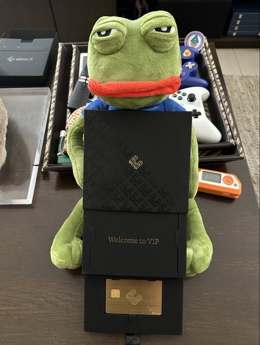 A green frog-like plush toy sits behind a black presentation folder on a desk, with a card below labeled “Welcome to VIP” and a partially visible payment card marked “VISA.”