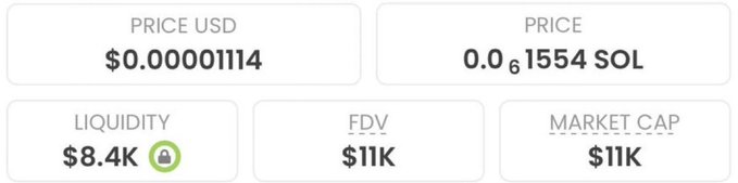 The image displays cryptocurrency metrics showing a token priced at $0.00001114 USD (0.000001554 SOL) with an $11K market cap and $8.4K locked liquidity, illustrating the extremely low-value coin being promoted in the post's "hold to 100x" pitch.