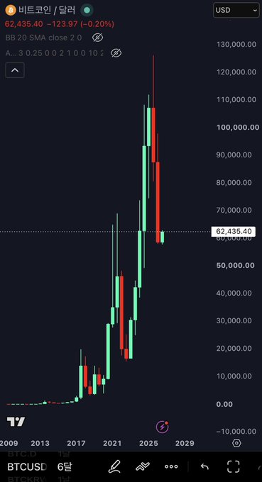A TradingView BTC/USD monthly chart spanning 2009-2029 shows Bitcoin's price at 62,435.40 (-0.20%), with the BB 20 SMA indicator enabled, illustrating Bitcoin's historic parabolic rise to ~$130,000 followed by sharp corrective drops—visually reinforcing the caption's point about how the asset's brutal downswings can strip investors bare despite its powerful long-term uptrend.