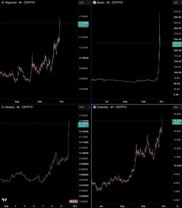Four 4-hour candlestick charts displaying recent price rallies in the "dinosaur" altcoins mentioned: Algorand (ALGO) spiking to ~$0.1340, Quant (QNT) surging dramatically to ~$233.76, Hedera (HBAR) climbing to ~$0.1276, and Chainlink (LINK) rising to ~$15.21.