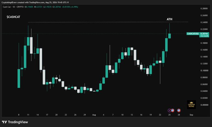 A TradingView candlestick chart shows $CASHCAT on a daily timeframe hitting a new all-time high (ATH) at 0.20144, with the most recent candle reading 0.19605, illustrating the token's recovery to its July market cap peak after a sharp 75% drawdown.