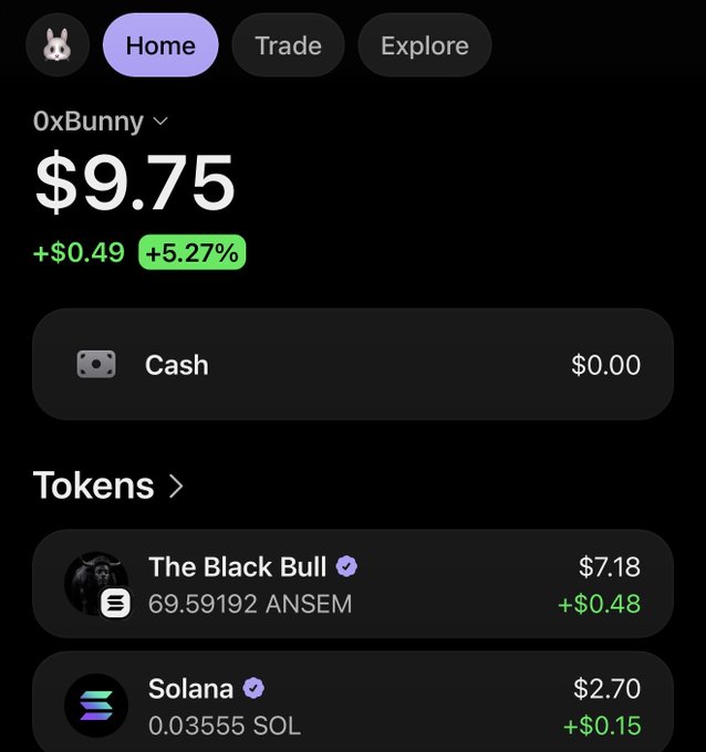 A crypto wallet app screenshot shows the account '0xBunny' with a balance of $9.75 (+$0.49, +5.27%), holding 'The Black Bull' token (69.59192 ANSEM, $7.18) and Solana (0.03555 SOL, $2.70).