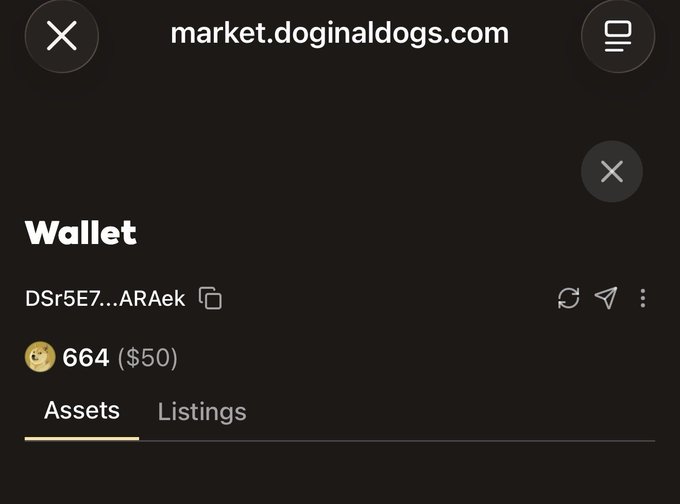A dark-mode mobile screenshot of a crypto wallet interface on 'market.doginaldogs.com' showing a balance of 664 DOGE ($50) and tabs for Assets and Listings.