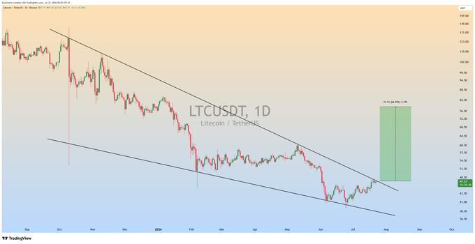 A daily Litecoin (LTCUSDT) chart against Tether on TradingView, dated August 31, 2025, showing price consolidating within a descending channel between roughly 46–86, with a projected green long target box of **21.91 (6,955) LTC** near 65–85 — illustrating the bullish breakout potential highlighted in the caption.
