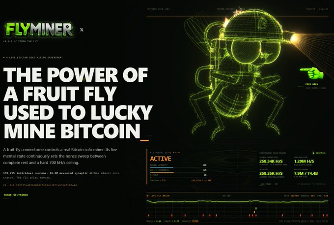 A promotional graphic for 'FLYMiner' showcases a wireframe fruit fly controlling a Bitcoin mining operation, with text reading 'THE POWER OF A FRUIT FLY USED TO LUCKY MINE BITCOIN' and various hash rate statistics.