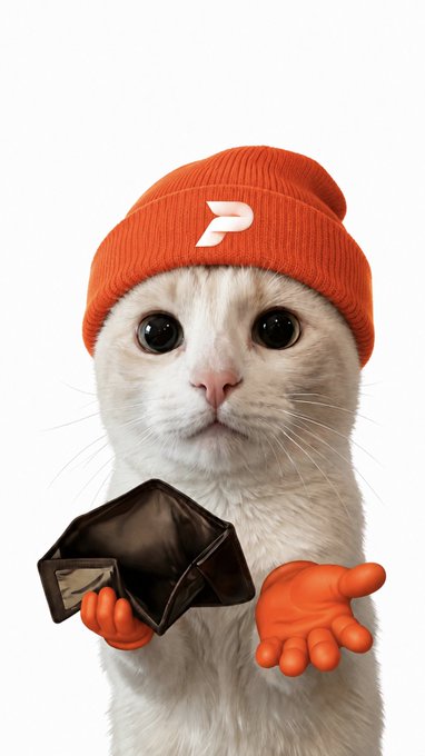 A white cat wearing an orange beanie with a white 'P' logo, holding an open wallet in its paws, presented as a meme-style image.