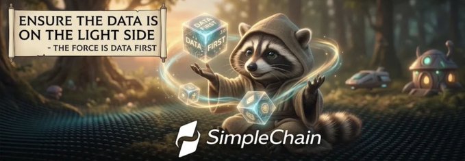 A promotional banner for 'SimpleChain' featuring a raccoon in a Jedi-like robe manipulating glowing data cubes, with the text 'ENSURE THE DATA IS ON THE LIGHT SIDE - THE FORCE IS DATA FIRST' displayed on a scroll.