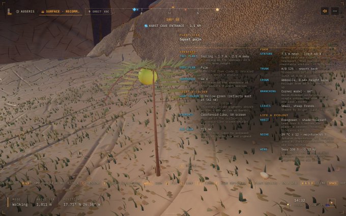 A screenshot from the video game Auseris showing a desert landscape with a palm tree, featuring a detailed interface with class information for 'Squat palm' including stats for form, creature, food, trunk, icons, branching, leaves, life & ecology, and habit.