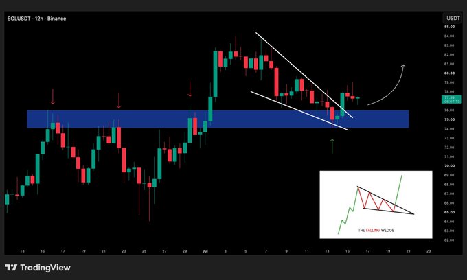 A TradingView candlestick chart for SOLUSDT on Binance (12h timeframe) showing a falling wedge pattern breakout, with an inset diagram illustrating 'THE FALLING WEDGE'.