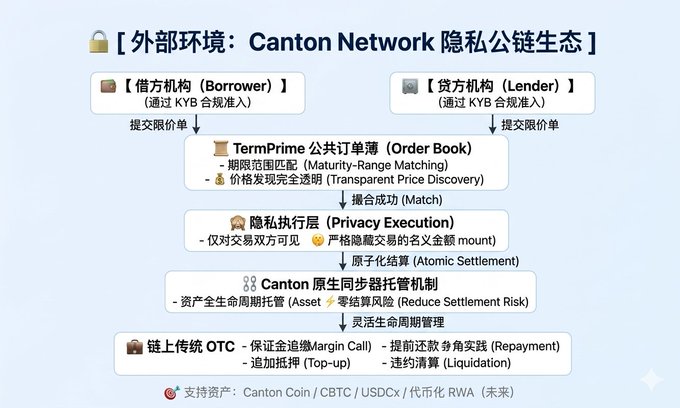 A Chinese-language infographic titled '[外部环境：Canton Network 隐私公链生态]' illustrates the Canton Network privacy chain ecosystem, detailing flow from Borrowers and Lenders through TermPrime Order Book, Privacy Execution, and Canton native cross-margin escrow mechanisms.