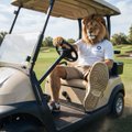 A fluffy cat sits in the driver's seat of a parked golf cart on a sunny course, humorously posing as the chauffeur. The image pairs with the post's "Cat szn" vibe and the $TYGR ticker, playfully suggesting the cat is "driving" toward Tiger-related gains.