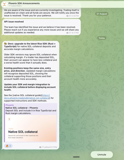 A Telegram announcement from 'Phoenix SDK Announcements' dated 31 August addresses an API issue and instructs developers to upgrade to the latest Rise SDK (Rust + TypeScript) for native SOL collateral and accurate margin calculations.