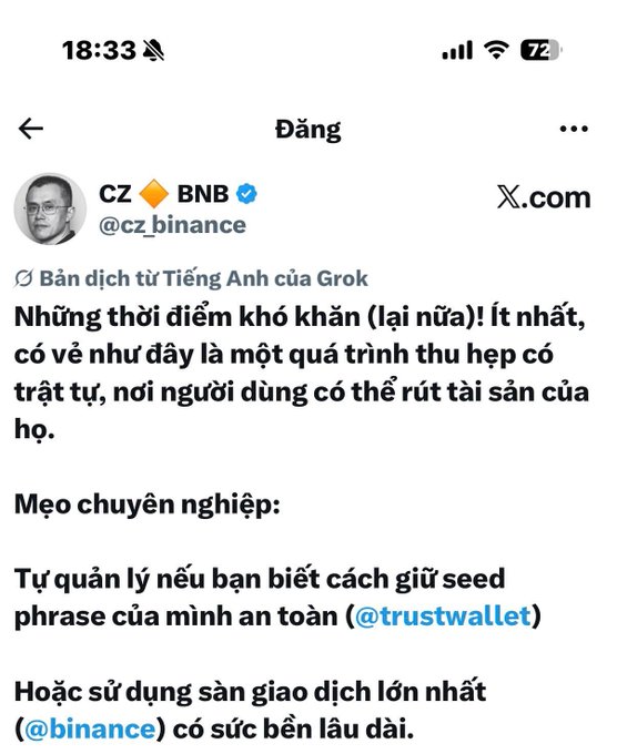 A Vietnamese-language tweet from CZ @cz_binance (translated by Grok) advising users on self-custody with @trustwallet or using @binance exchange during difficult times.