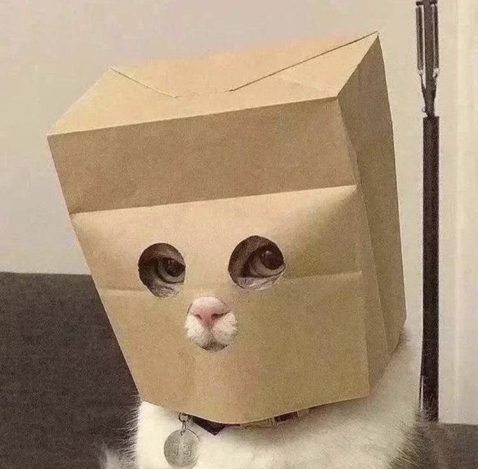 A cat with a brown paper bag over its head peers through holes cut out for its eyes, wearing a collar tag reading "CATE." The image humorously ties into the post's mention of the memecoin $CATE, using the literal "cate-gory" of cat-themed meme marketing to reinforce the call to action.