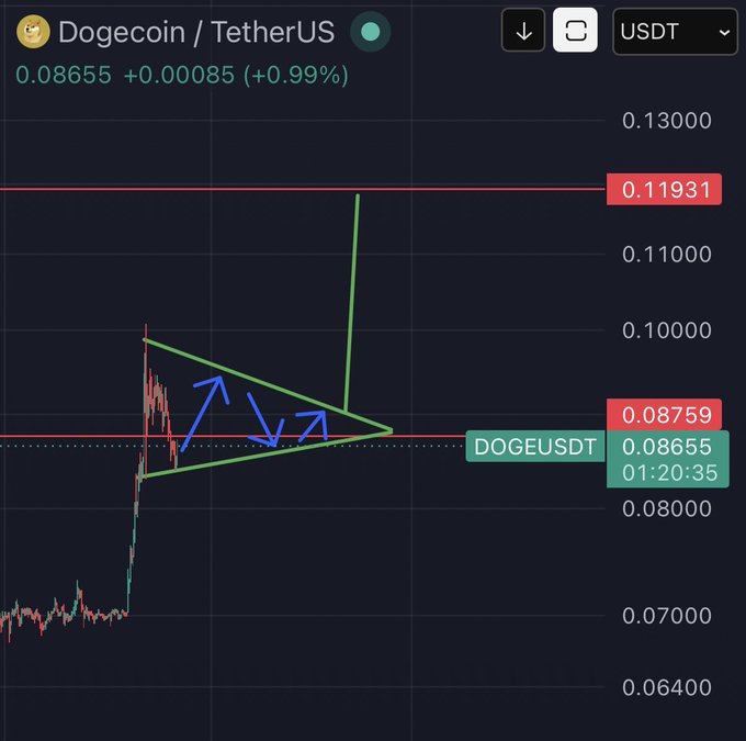 A Dogecoin/USDT (DOGEUSDT) chart shows the price at 0.08655, up 0.99%, with a green bull flag pattern drawn over a recent sideways consolidation following a sharp spike, highlighting a key resistance zone near 0.11931. This visually supports the post's claim of a breakout target around $0.12 before a larger "generational run" upward.
