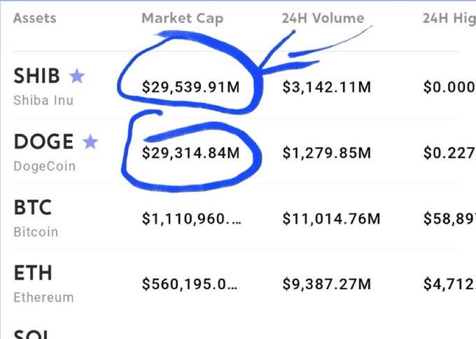 A cryptocurrency market cap table showing SHIB ($29,539.91M, circled in blue) nearly matching DOGE ($29,314.84M, also circled) with SHIB's 24H volume of $3,142.11M highlighted.