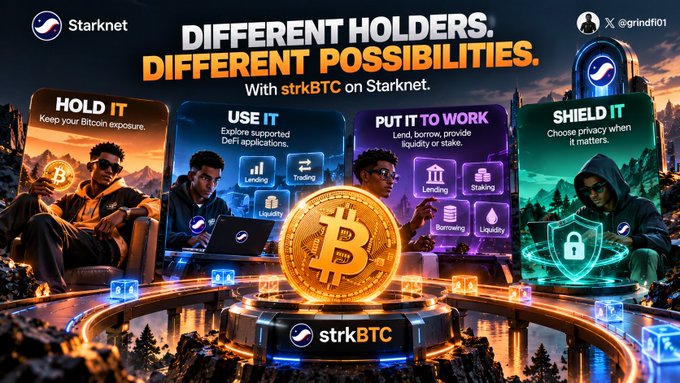 Promotional graphic for Starknet's strkBTC featuring the tagline 'DIFFERENT HOLDERS. DIFFERENT POSSIBILITIES' with options to Hold, Use (DeFi apps like Lending, Trading, Liquidity), Put to Work (Lend, Borrow, Stake, Liquidity), or Shield it, alongside a central golden Bitcoin coin.
