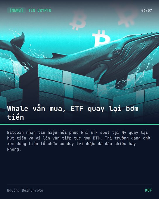 Vietnamese-language crypto news graphic from BeInCrypto featuring a whale illustration with Bitcoin symbols; headline reads 'Whale vẫn mua, ETF quay lại bơm tiền' about spot ETFs drawing funds.