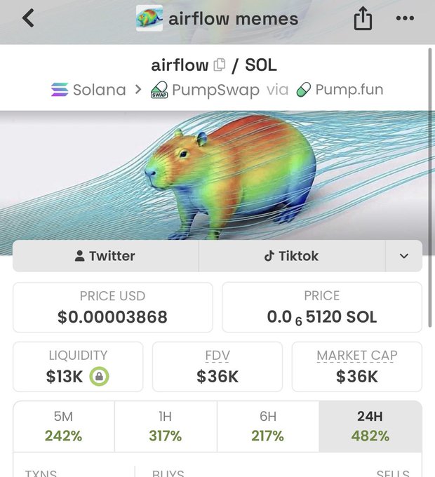 Screenshot of a Solana token page on PumpSwap via Pump.fun called 'airflow memes' (AIRFLOW/SOL) showing a rainbow-colored capybara, price $0.00003868, market cap $36K, with 24H gains of 482%.