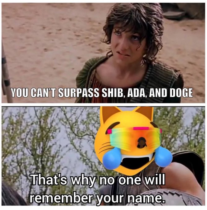 A two-panel meme using the 'No one will ever be more successful than...' format, with text claiming one cannot surpass SHIB, ADA, and DOGE.