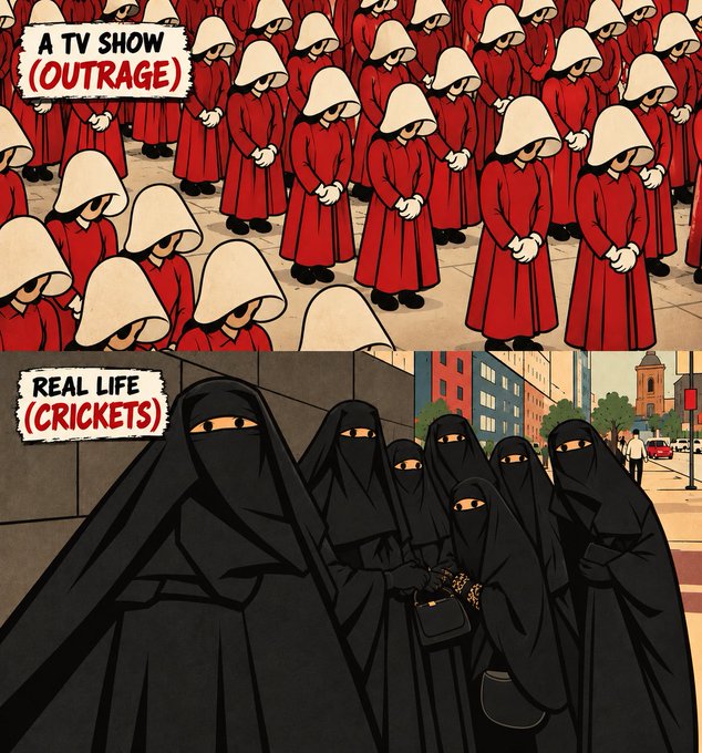 A two-panel comic illustration contrasting 'A TV SHOW (OUTRAGE)' showing figures in red robes and white bonnets (Handmaid's Tale style) with 'REAL LIFE (CRICKETS)' showing women in black niqabs standing silently in a city.
