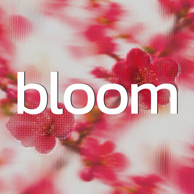 A graphic design with the word 'bloom' in large white lowercase letters over a blurred background of pink cherry blossoms, with heart-shaped overlays containing repeating text patterns.