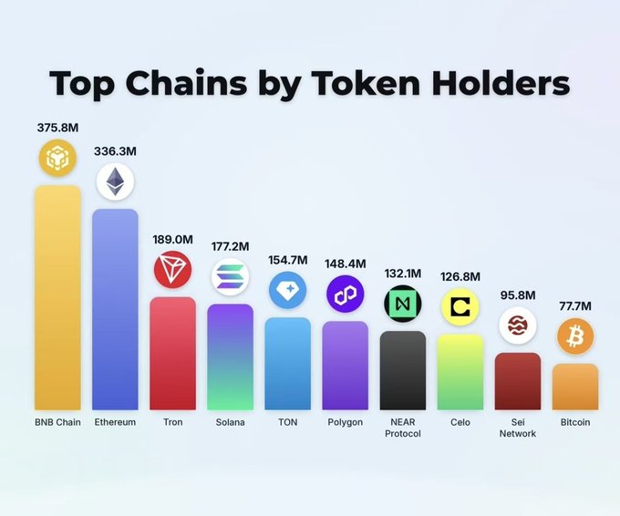 A bar chart titled "Top Chains by Token Holders" ranking blockchains: BNB Chain (375.8M), Ethereum (336.3M), Tron (189.0M), Solana (177.2M), TON (154.7M), Polygon (148.4M), NEAR Protocol (132.1M), Celo (126.8M), Sei Network (95.8M), and Bitcoin (77.7M).