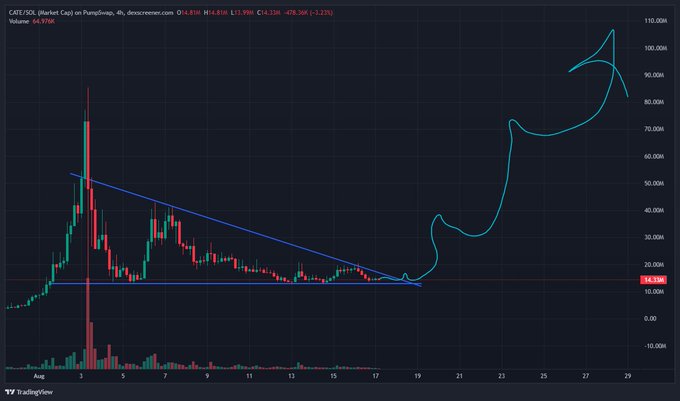 A 4-hour CATE/USD chart on PumpFun (Dex Screener) showing a massive rally from ~$14K base support (marked by blue trendlines) to a peak above $100K, with volume of 64,970K—visually reinforcing the "BIG WEEK" celebration as price exploded roughly 7x off consolidation.