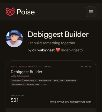 The image shows a Poise profile page for "Debiggest Builder" (by @oluwabiggest) advertising a new index/ETF with holdings in Debiggest5 tokens plus SOL, BTC, ARBIT, and BONK.CHAIN, with a group score of 501 and tagline "Who's in your bin? #WhosInYourBasket"—illustrating the post's point about Poise enabling users to create custom tradable baskets on Solana.