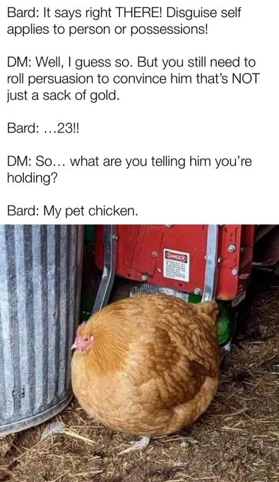 A humorous Dungeons & Dragons roleplay meme about a bard casting 'Disguise Self' and telling guards his sack of gold is actually his pet chicken, featuring a photo of a fluffy orange chicken.