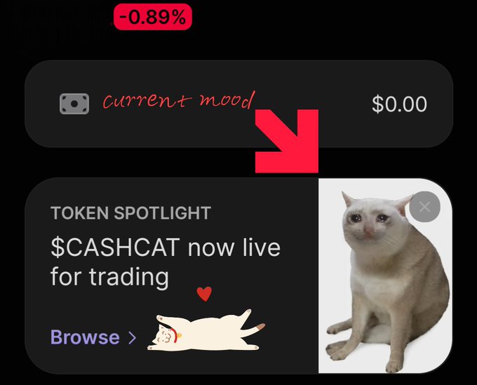A mobile app interface showing '-0.89%' in a red box, a 'current mood' field with '$0.00,' and a 'TOKEN SPOTLIGHT' section announcing '$CASHCAT now live for trading' next to a photo of a light-colored cat.
