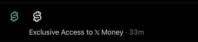 A screenshot of an X Money access notification, featuring dollar icons and the text “Exclusive Access to 𝕏 Money · 33m,” corresponding to the post saying the user got access to @XMoney 33 minutes ago.