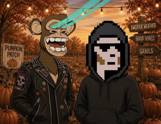 An illustrated scene of a punk monkey in a studded leather jacket and a person in a pixelated hood standing in a pumpkin patch with signs reading 'PUMPKIN PATCH', 'SWEATER WEATHER GOOD VIBES GRAILS'.