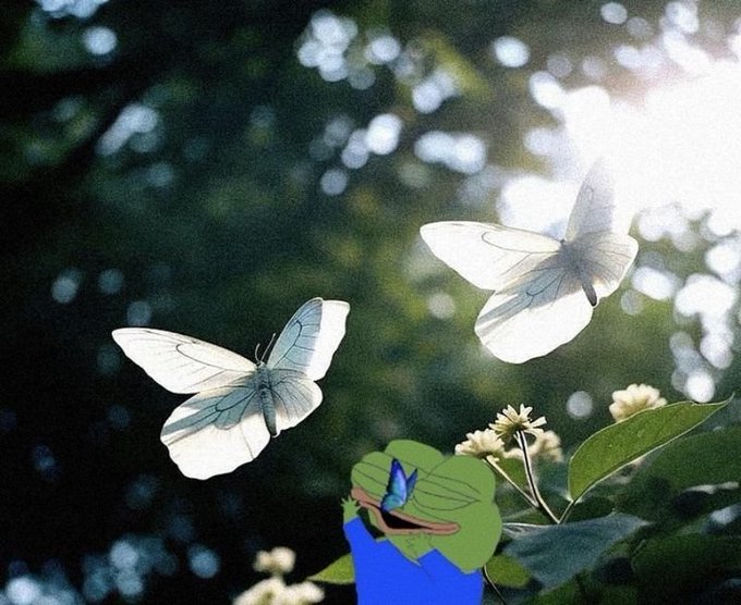 A photograph of two white butterflies in flight among greenery, with a Pepe the Frog meme character edited in at the bottom holding a blue butterfly.