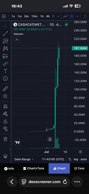 A mobile trading chart from dexscreener.com showing CASHCAT/WETH with a massive green price spike to $197.84M, up 13.71% with 23.85M volume.