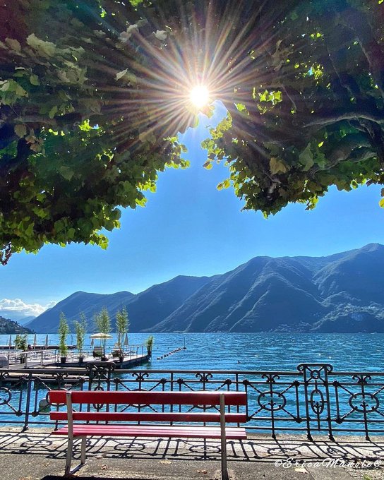 A serene lake scene framed by lush tree canopy, with sunlight bursting through the leaves and casting rays across the mountains in the distance. In the foreground, a red bench sits along a wrought-iron railing, evoking a peaceful moment of reflection and renewal—fitting for an afternoon update on building momentum with Quip Network and Tria. A small watermark reads "©BianchiMarina©" in the bottom right corner.