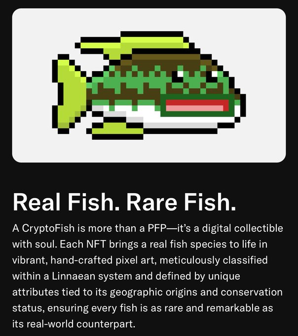 A pixel-art image of a green and red fish on a black background titled 'Real Fish. Rare Fish.' promoting CryptoFish NFTs described as digital collectibles based on real fish species within a Linnaean classification system.