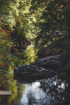 A serene photograph of a calm river flowing through a lush green forest with rocks and reflections on the water's surface.