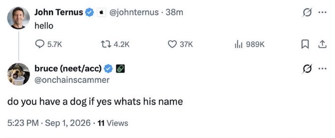 The image displays a screenshot of an X (Twitter) exchange where verified user John Ternus (@johnternus) simply tweets "hello," which receives 37K likes and 989K views, followed by "bruce (neet/acc)" (@onchainscammer) replying with "do you have a dog if yes whats his name." The post's caption about crypto hustle relates to the second user's handle "@onchainscammer," highlighting the relentless, often absurd attempts by crypto Twitter users to engage with high-profile figures like Apple's John Ternus in hopes of going viral.